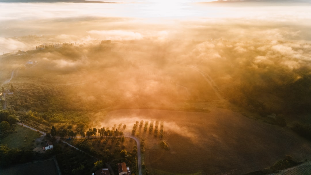 Het bijzondere verhaal van Anita Meijer en haar zoon Frank van der Lende